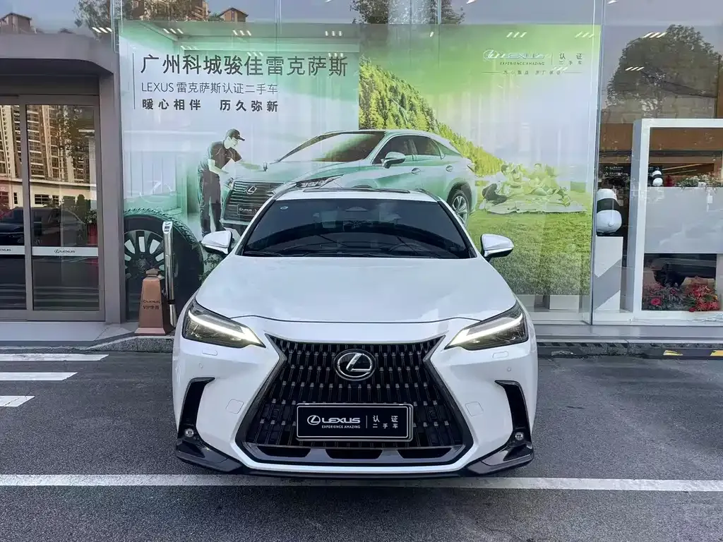 Lexus NX New Energy 2022 из CN, фото 9