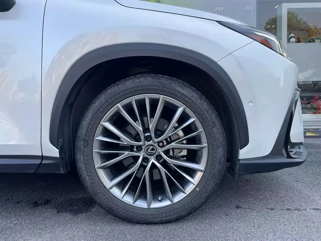 Lexus NX New Energy 2022 из CN, фото 6