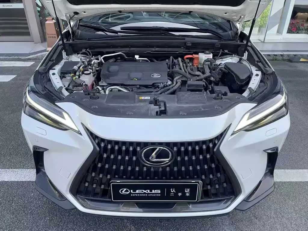 Lexus NX New Energy 2022 из CN, фото 5