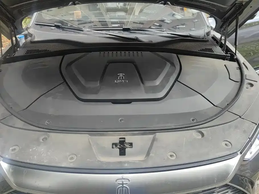 BYD PLUS New Energy 2023 из CN, фото 7