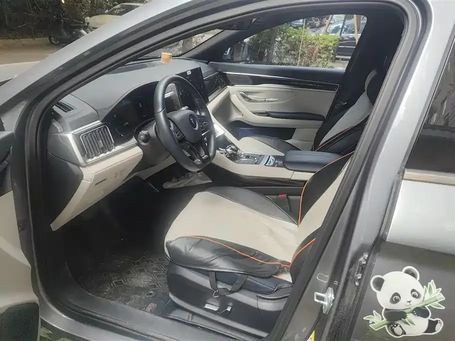 BYD PLUS New Energy 2023 из CN, фото 9