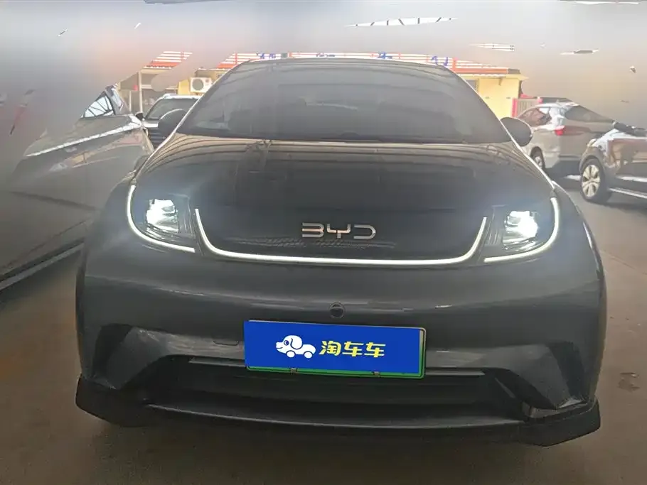 BYD Dolphin — фото 10