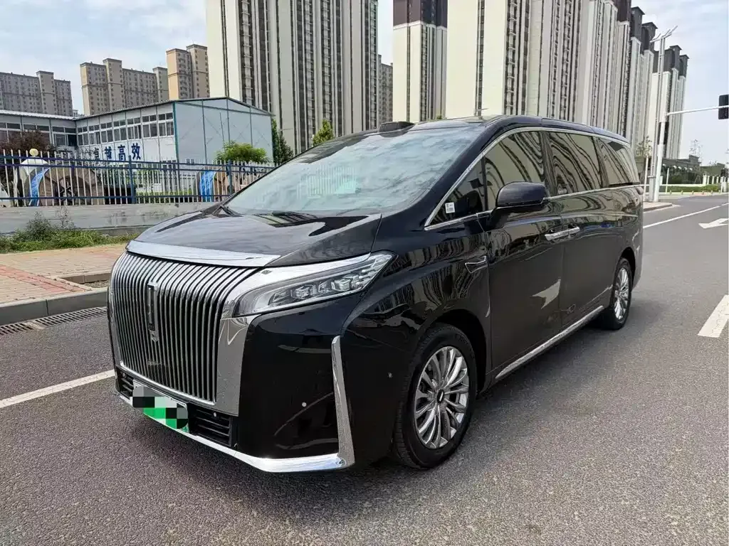 Wey Gaoshan 2025 из CN, фото 6