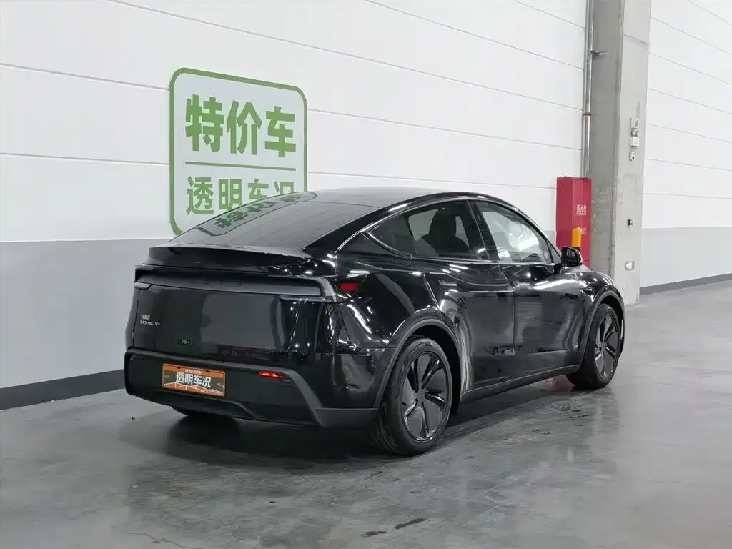 Tesla Model Y — фото 10