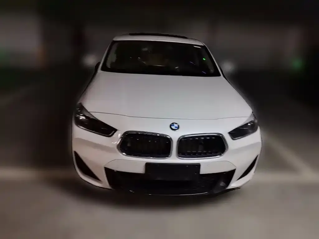 BMW X2 2023 из CN, фото 6