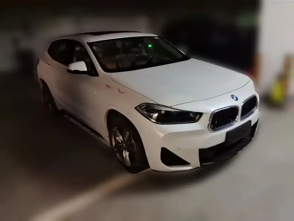 BMW X2 2023 из CN, фото 3