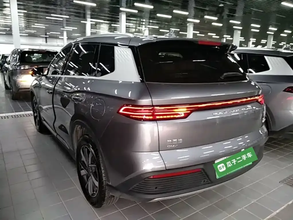 BYD Pro New Energy — фото 6