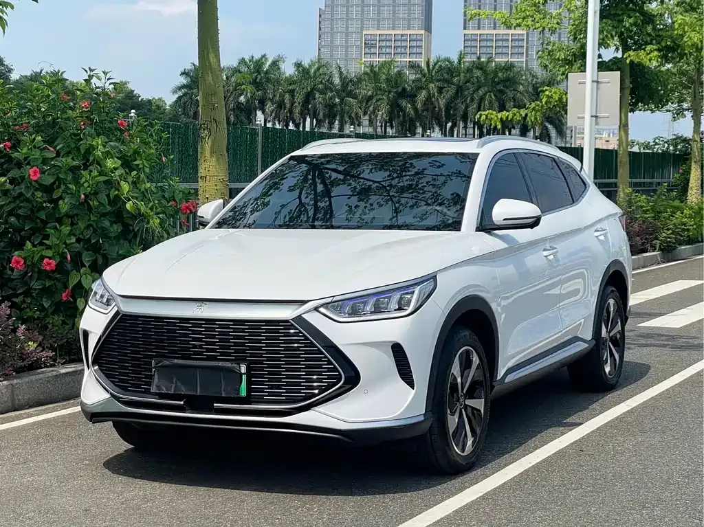 BYD PLUS New Energy — фото 1