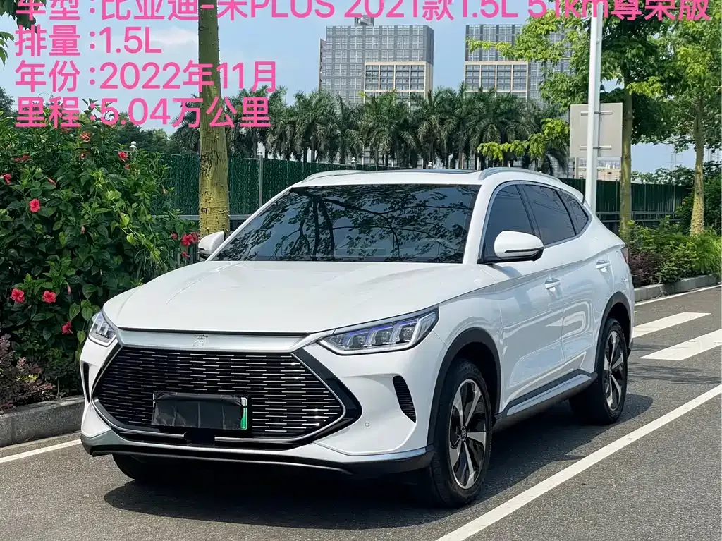 BYD PLUS New Energy — фото 5