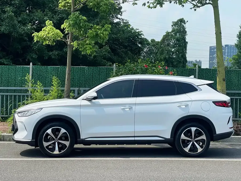 BYD PLUS New Energy — фото 2