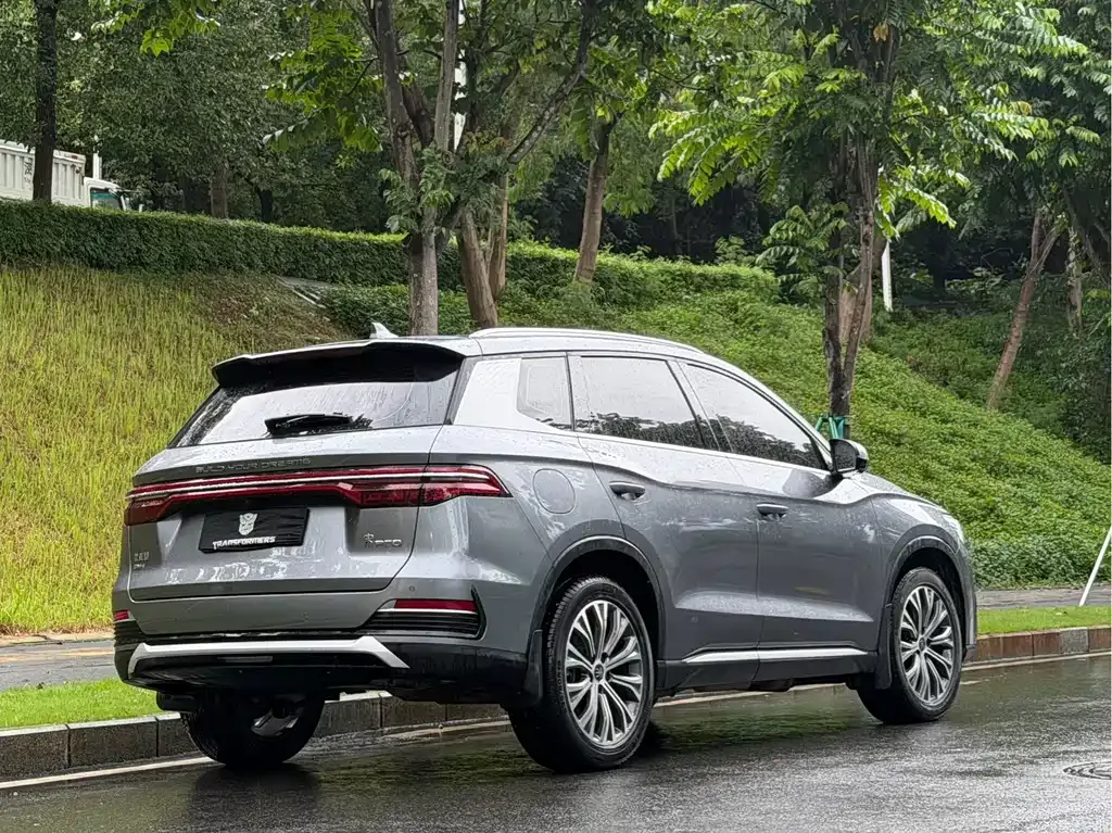 BYD Pro New Energy — фото 9
