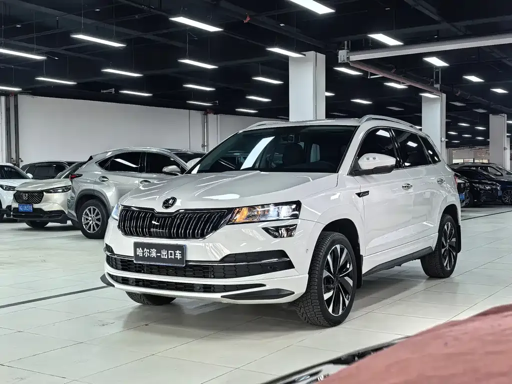 Skoda Karoq — фото 1
