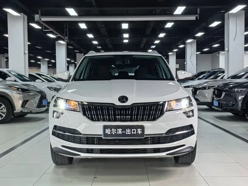 Skoda Karoq — фото 3