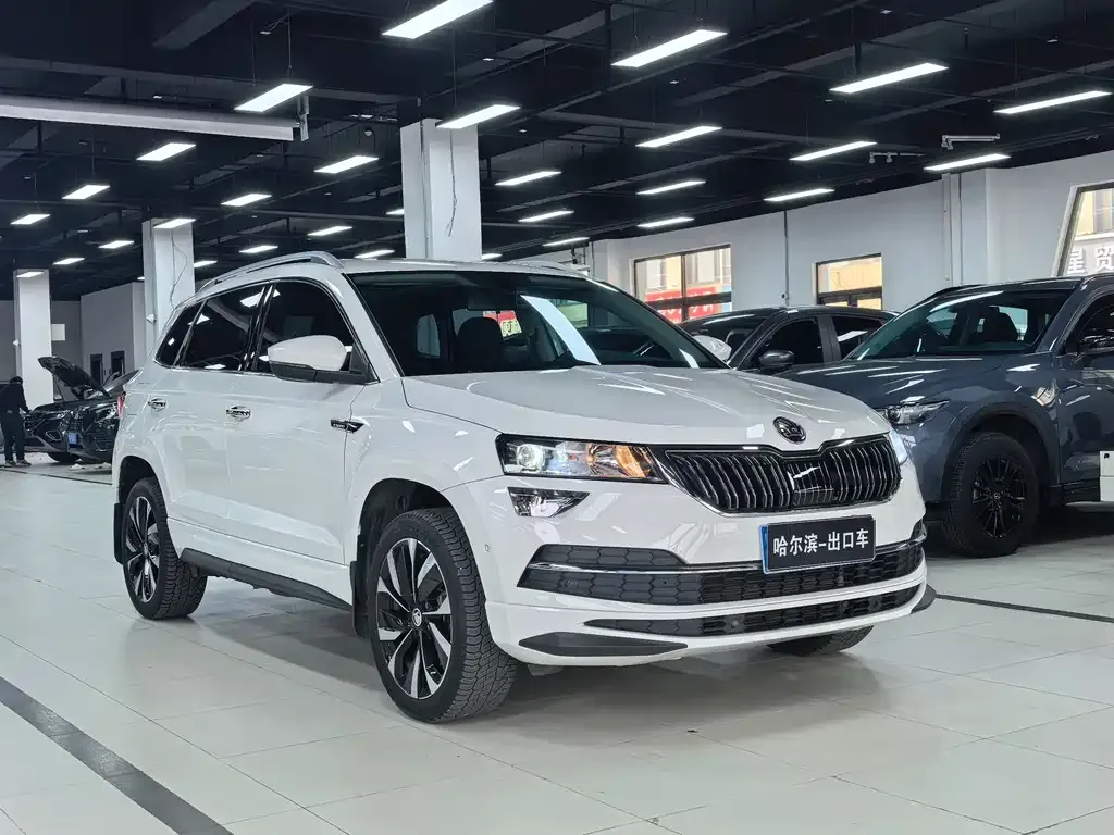 Skoda Karoq — фото 7