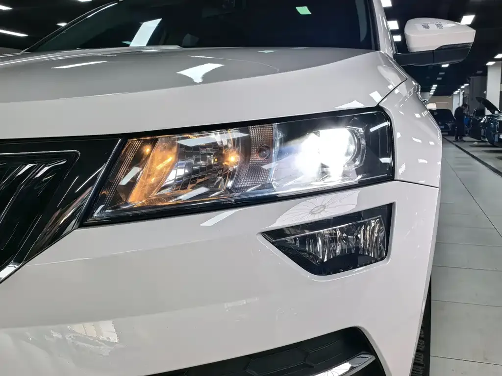 Skoda Karoq — фото 4