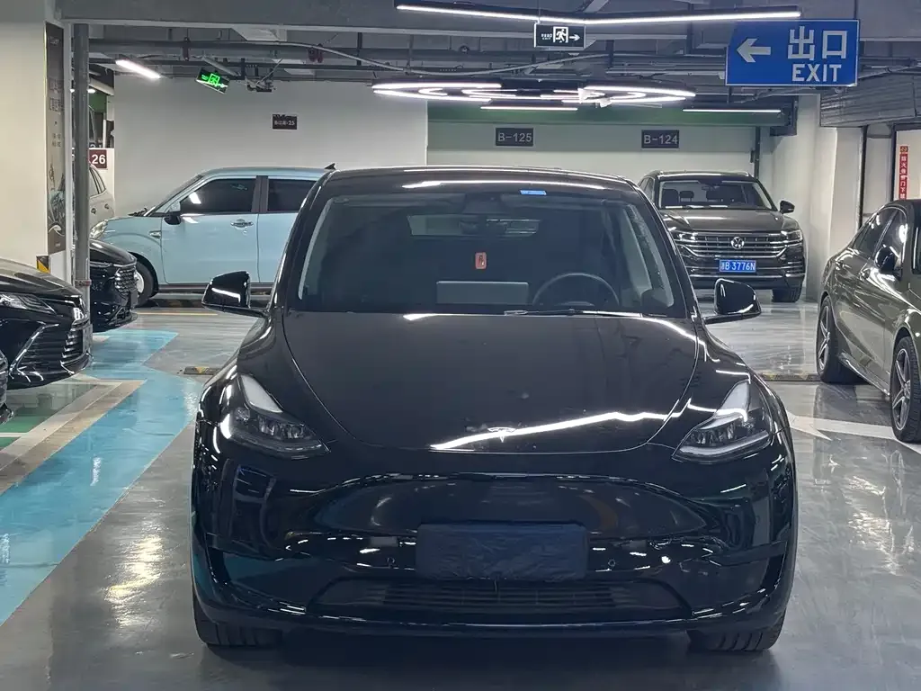 Tesla Model Y — фото 10