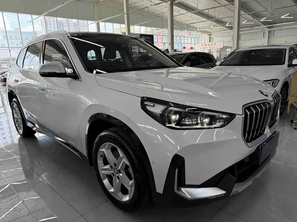 BMW X1 — фото 9