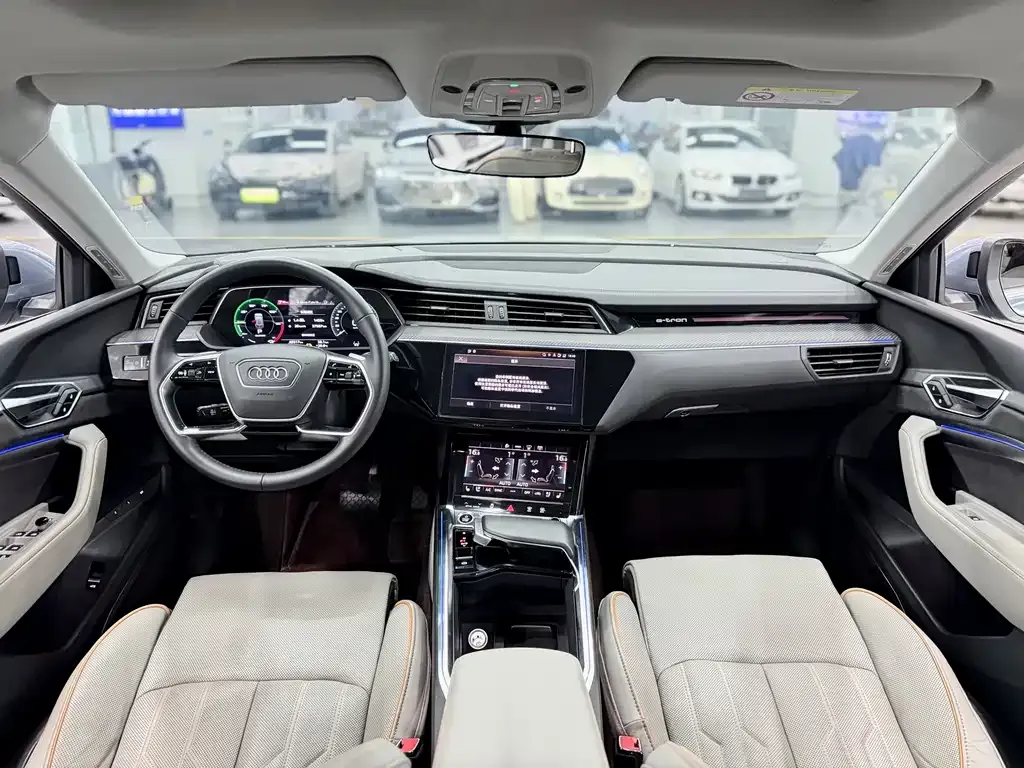 Audi e-tron 2021 из CN, фото 8