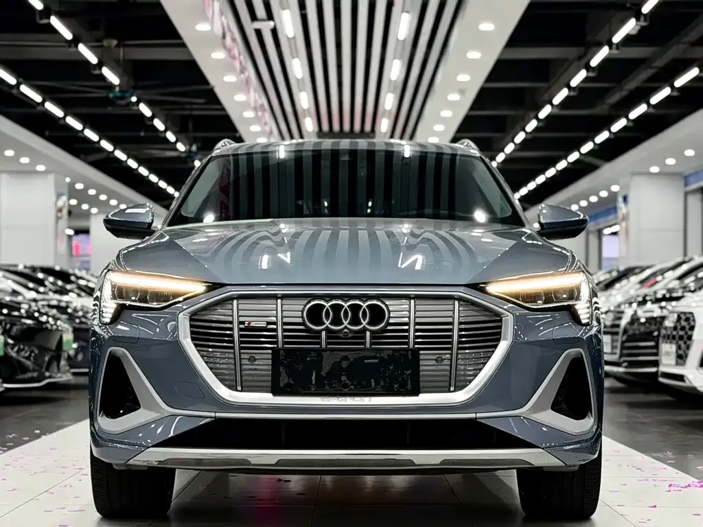 Audi e-tron 2021 из CN, фото 7