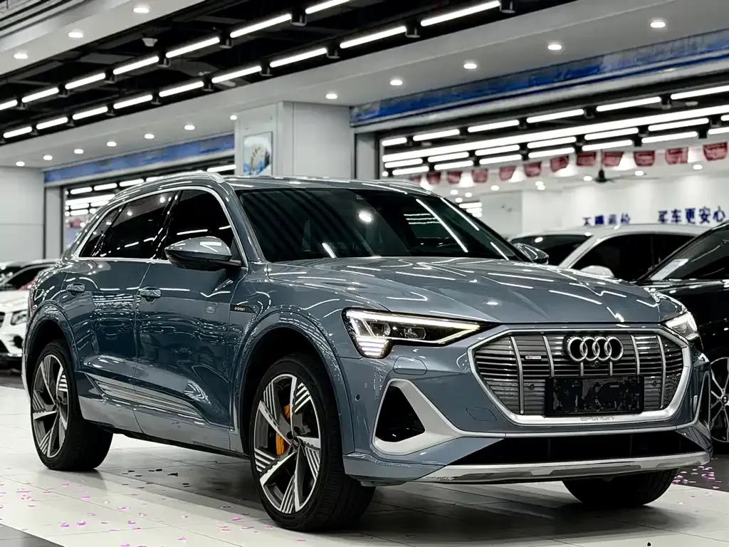 Audi e-tron 2021 из CN, фото 10