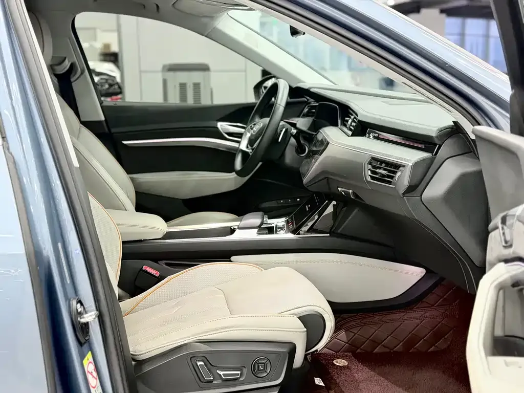 Audi e-tron 2021 из CN, фото 3