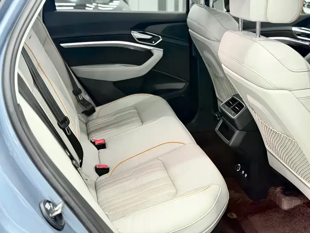 Audi e-tron 2021 из CN, фото 6