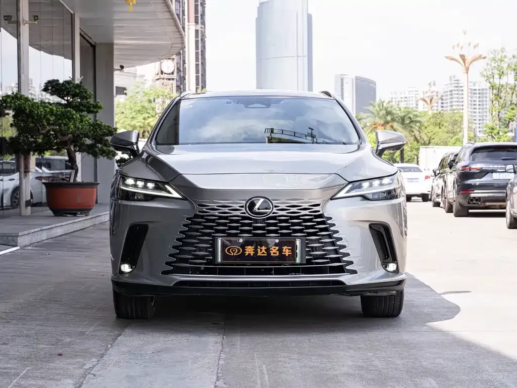 Lexus RX New Energy 2023 из CN, фото 8
