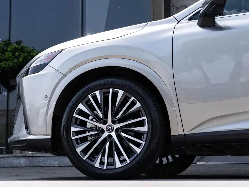 Lexus RX New Energy 2023 из CN, фото 7