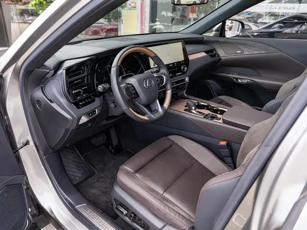 Lexus RX New Energy 2023 из CN, фото 10