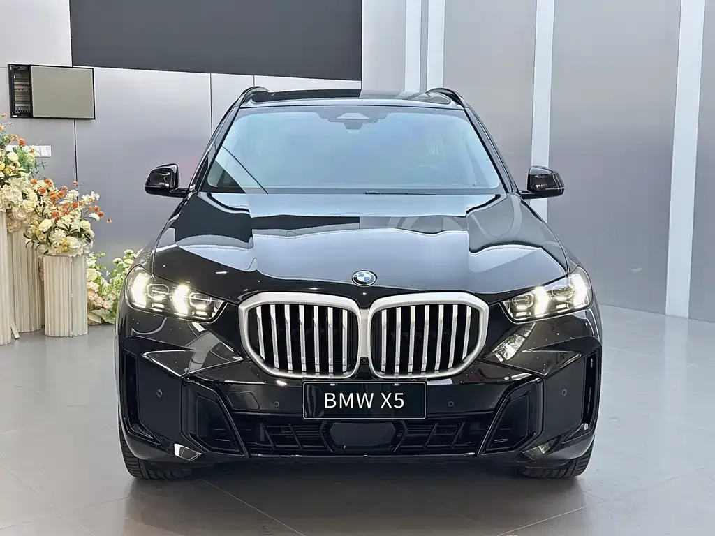 BMW X5 — фото 6