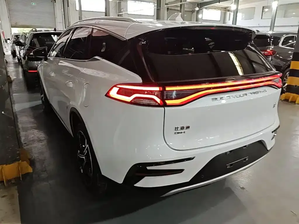 BYD Tang New Energy — фото 5