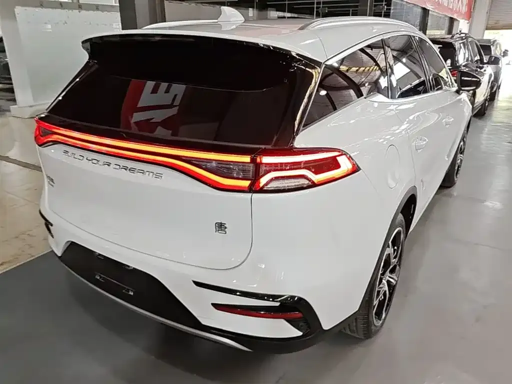 BYD Tang New Energy — фото 10