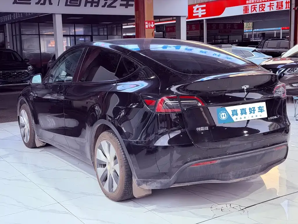 Tesla Model Y — фото 3