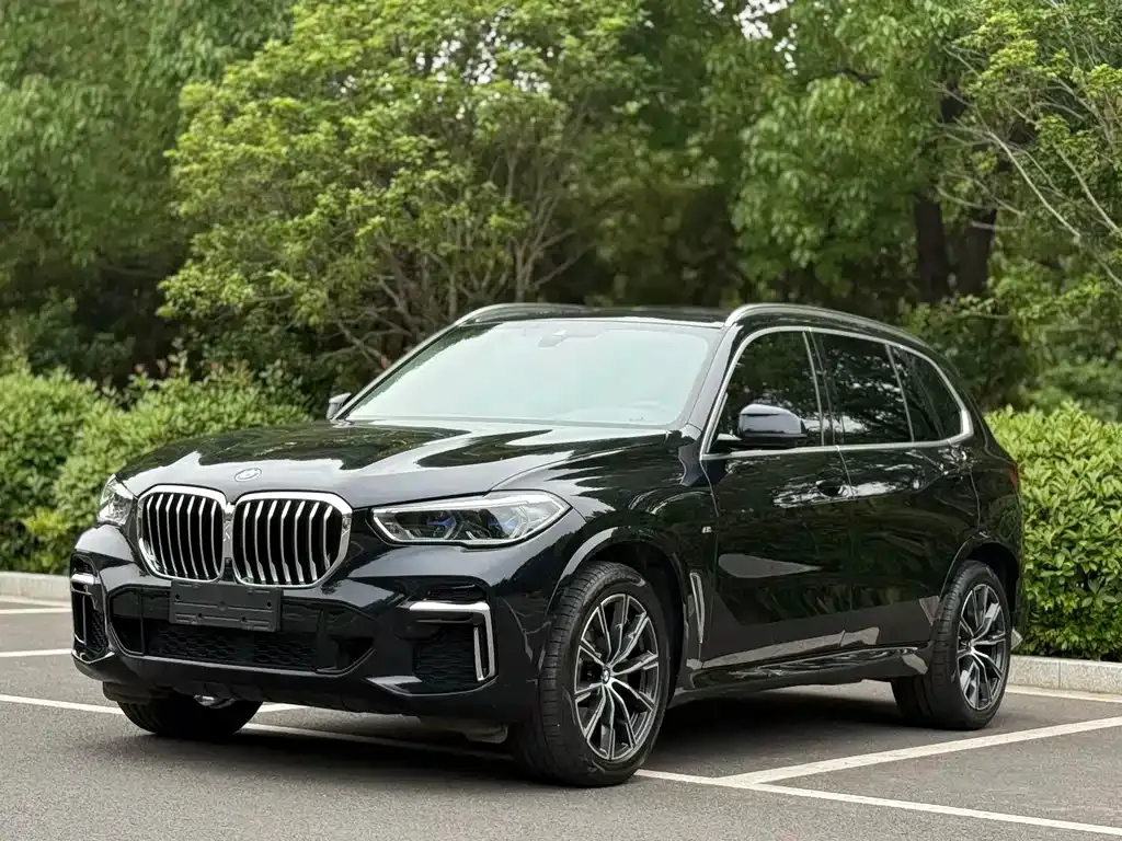 BMW X5 — фото 1