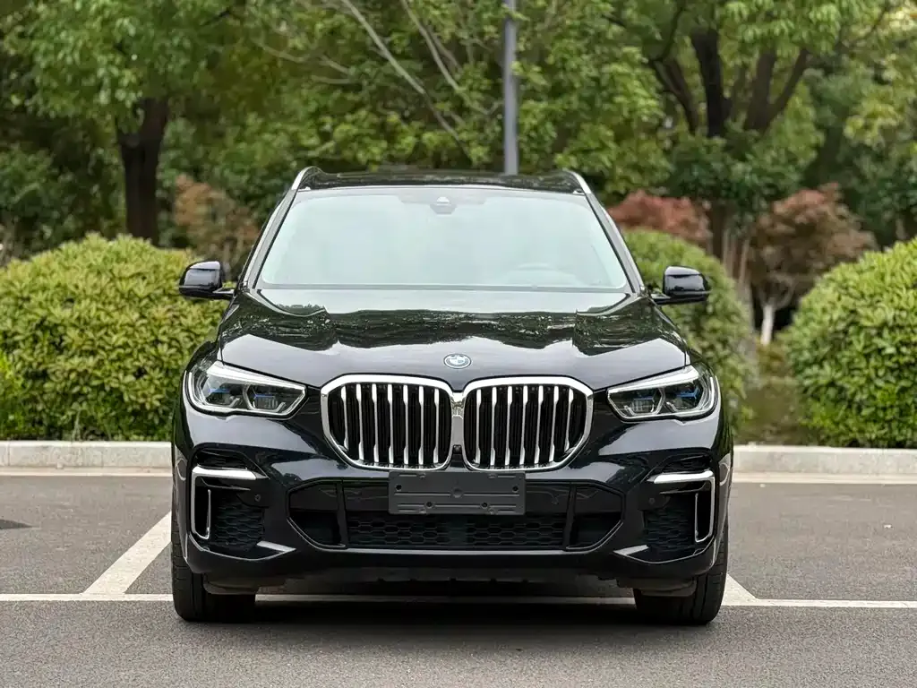 BMW X5 — фото 10