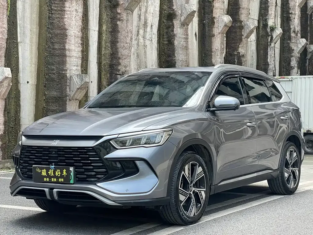 BYD Pro New Energy
