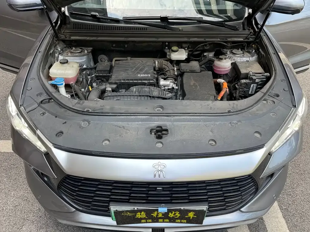 BYD Pro New Energy 2023 из CN, фото 8