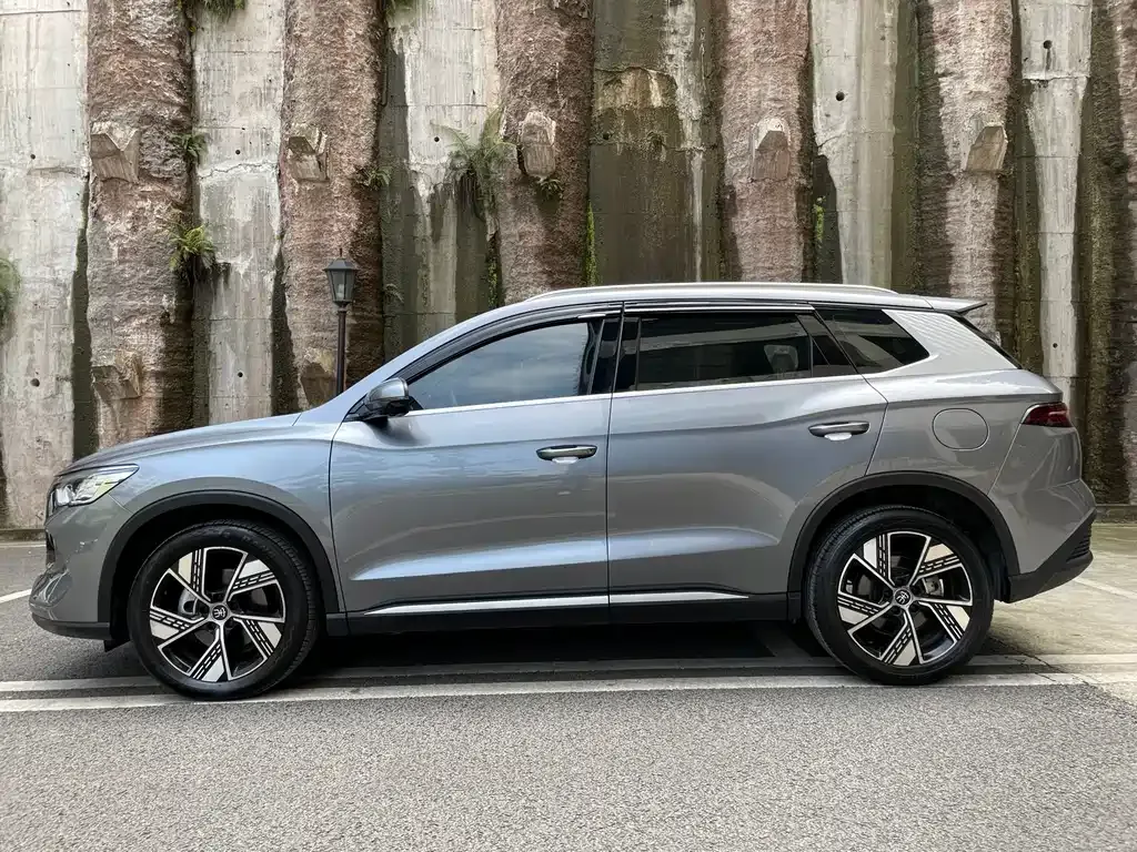 BYD Pro New Energy 2023 из CN, фото 2