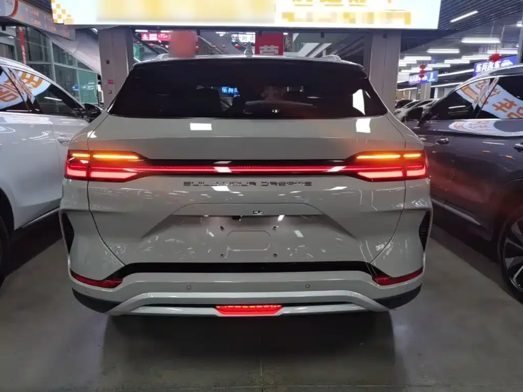 BYD PLUS New Energy — фото 4