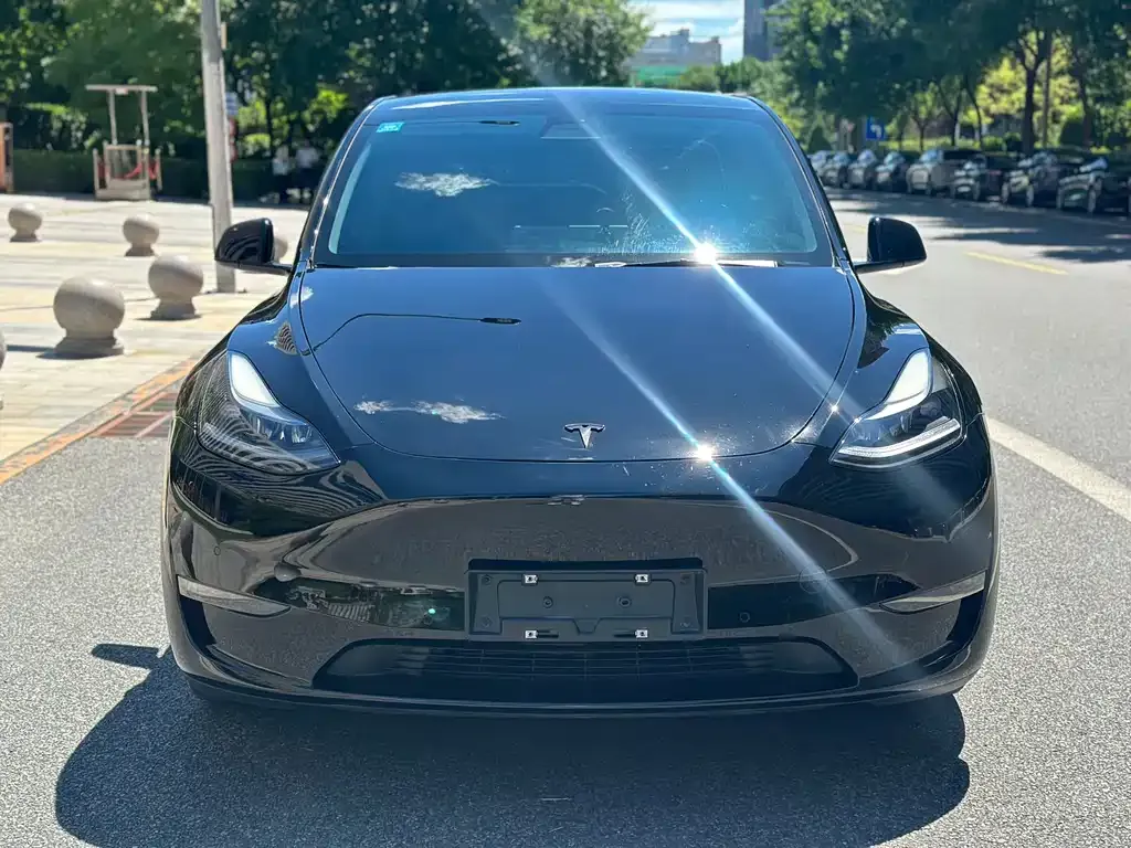 Tesla Model Y — фото 6