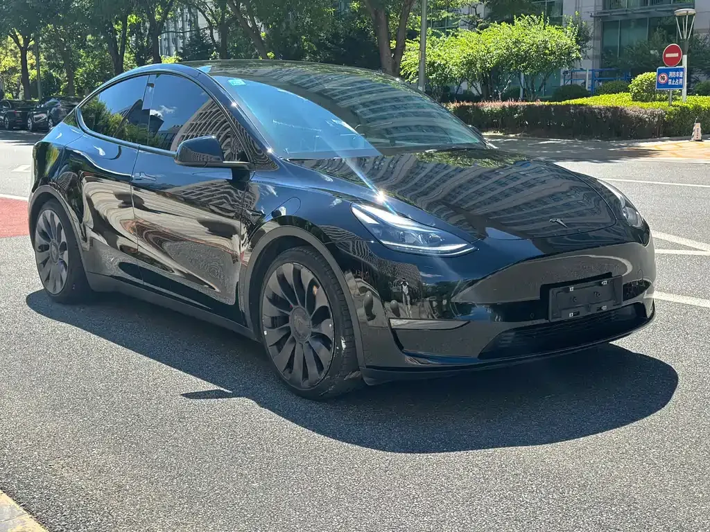 Tesla Model Y — фото 10