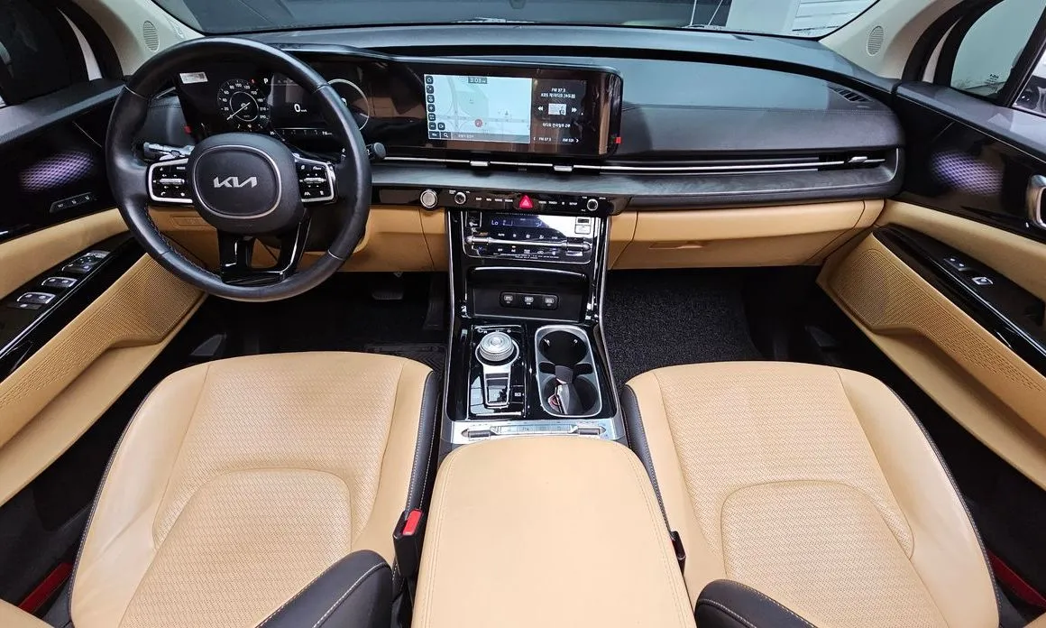Kia Carnival — фото 10