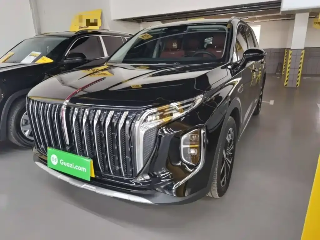 Hongqi HS7 2024 из CN, фото 8