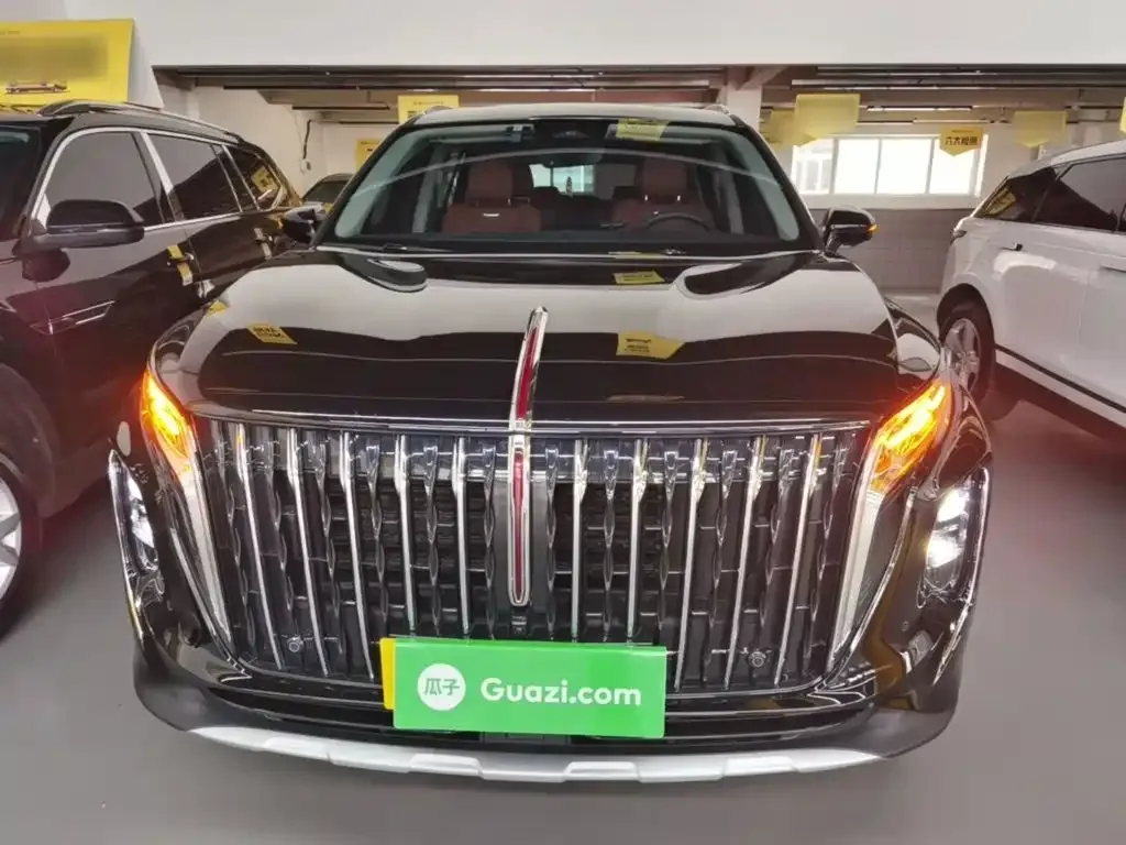 Hongqi HS7 2024 из CN, фото 10