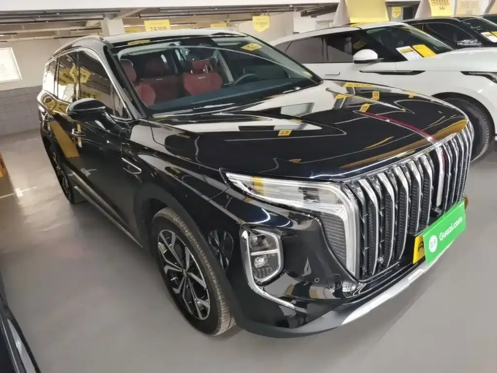 Hongqi HS7 2024 из CN, фото 9