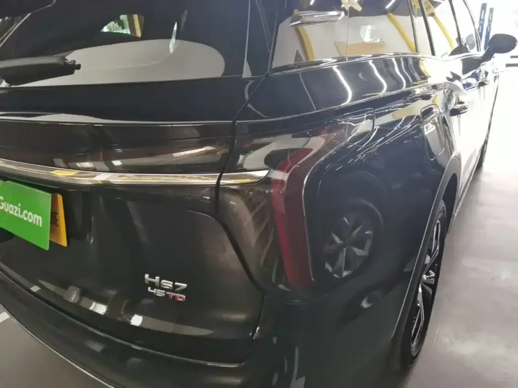 Hongqi HS7 2024 из CN, фото 6