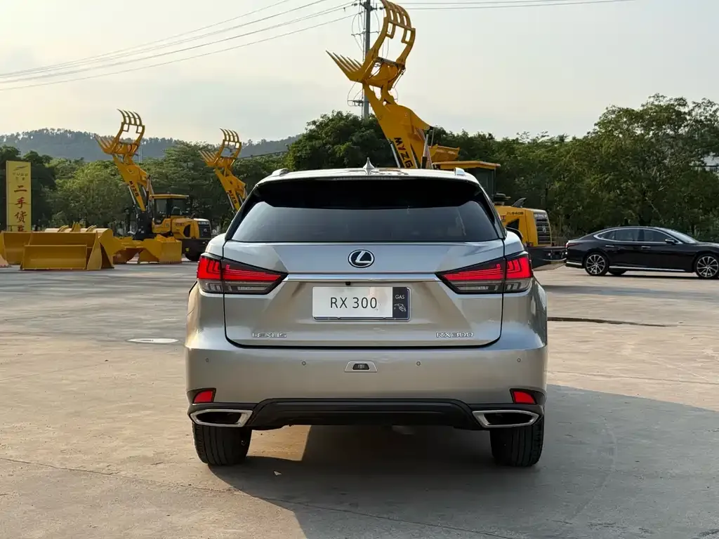 Lexus RX — фото 9