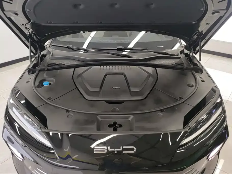 BYD PLUS New Energy 2024 из CN, фото 8