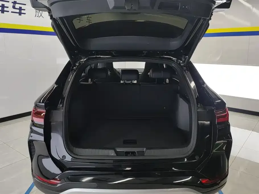 BYD PLUS New Energy 2024 из CN, фото 7