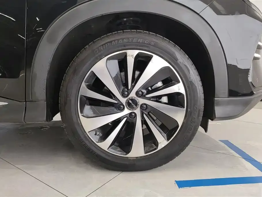 BYD PLUS New Energy 2024 из CN, фото 2
